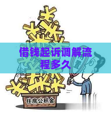 借钱起诉调解流程多久