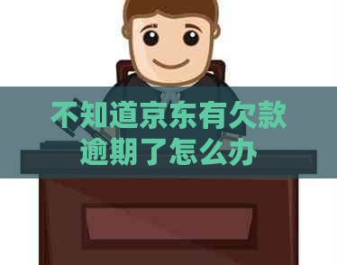 不知道京东有欠款逾期了怎么办