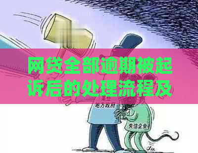 网贷全部逾期被起诉后的处理流程及注意事项