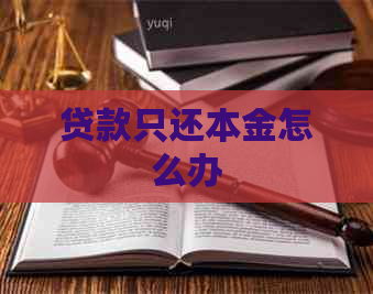 贷款只还本金怎么办