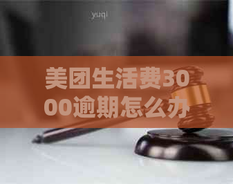 美团生活费3000逾期怎么办