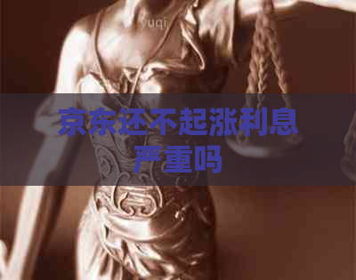 京东还不起涨利息严重吗