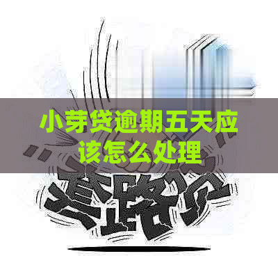 小芽贷逾期五天应该怎么处理