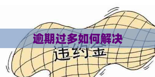 逾期过多如何解决