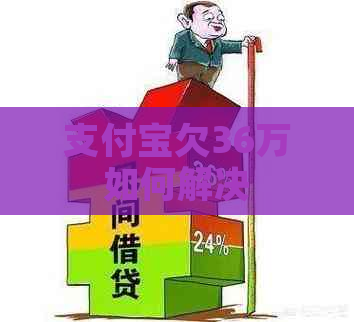 信用卡欠36万如何解决