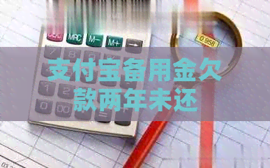 信用卡备用金欠款两年未还