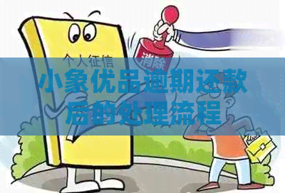 小象优品逾期还款后的处理流程