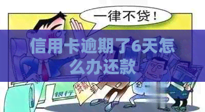 信用卡逾期了6天怎么办还款