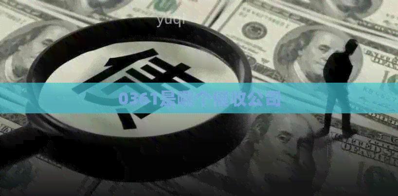 0361是哪个公司