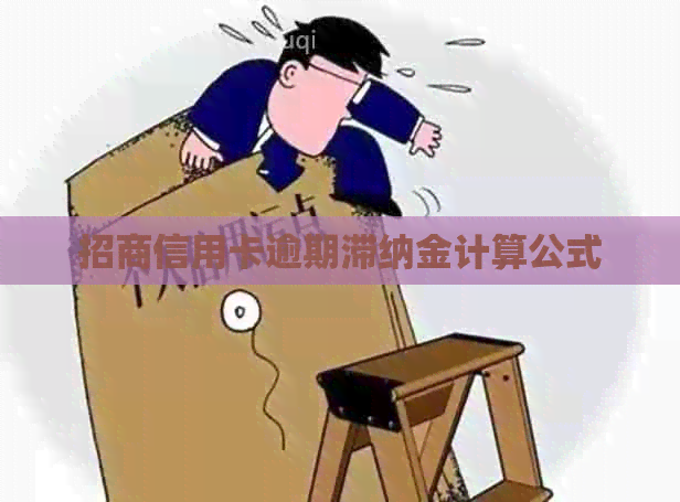 招商信用卡逾期滞纳金计算公式