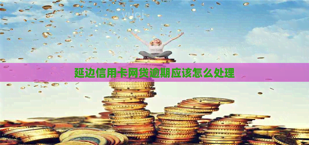 延边信用卡网贷逾期应该怎么处理