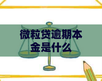 微粒贷逾期本金是什么