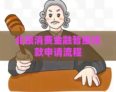 北银消费金融暂缓还款申请流程