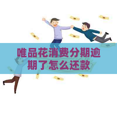 唯品花消费分期逾期了怎么还款