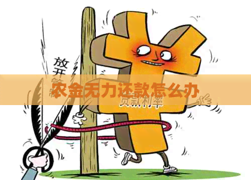 农金无力还款怎么办