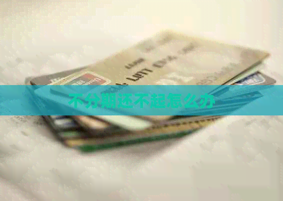 不分期还不起怎么办