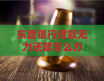 东营银行借款无力还款怎么办