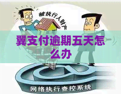 翼支付逾期五天怎么办