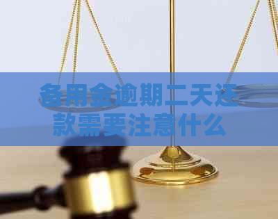 备用金逾期二天还款需要注意什么