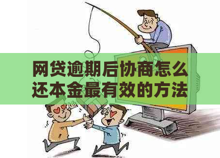 网贷逾期后协商怎么还本金最有效的方法是什么