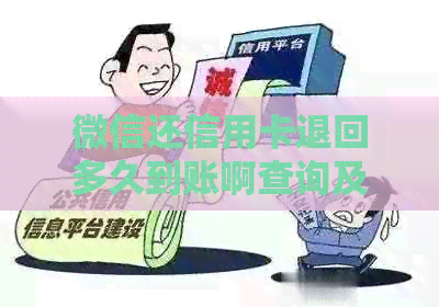 微信还信用卡退回多久到账啊查询及原因解析