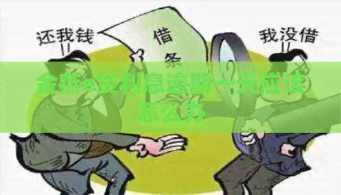 金燕e贷利息逾期一天应该怎么办