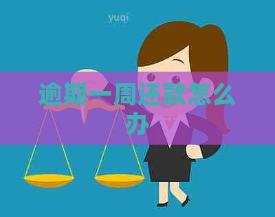 逾期一周还款怎么办