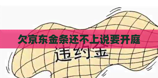 欠京东金条还不上说要开庭
