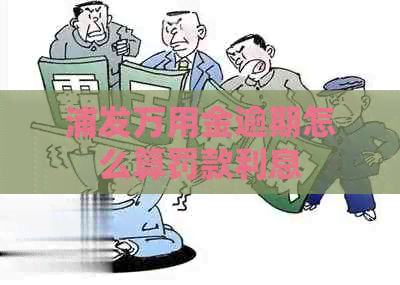 浦发万用金逾期怎么算罚款利息