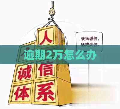 逾期2万怎么办