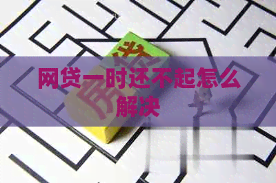 网贷一时还不起怎么解决