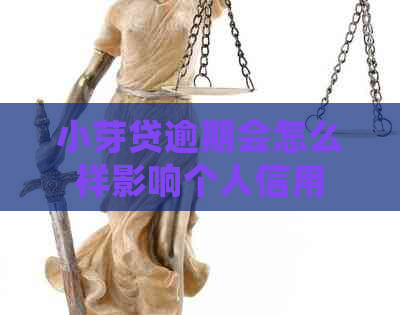 小芽贷逾期会怎么样影响个人信用