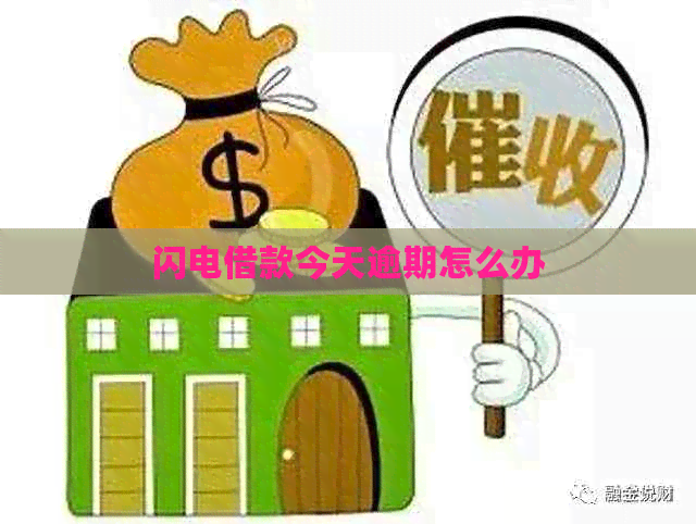闪电借款今天逾期怎么办