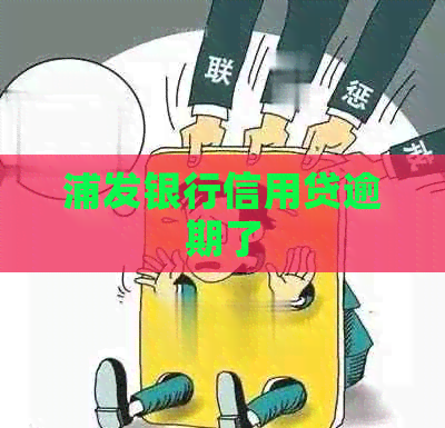 浦发银行信用贷逾期了