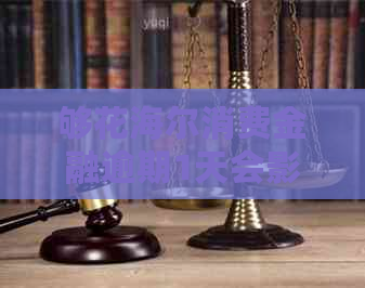 够花海尔消费金融逾期1天会影响信用吗