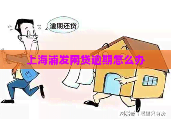上海浦发网贷逾期怎么办