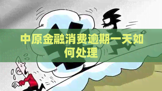 中原金融消费逾期一天如何处理