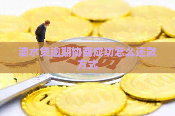 滴水贷逾期协商成功怎么还款方式