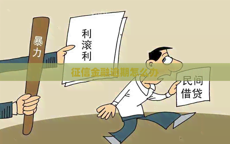 金融逾期怎么办