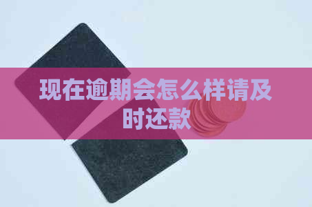 现在逾期会怎么样请及时还款