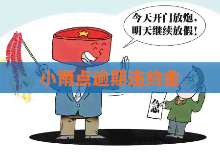 小雨点逾期违约金
