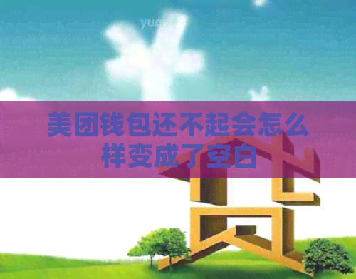 美团钱包还不起会怎么样变成了空白