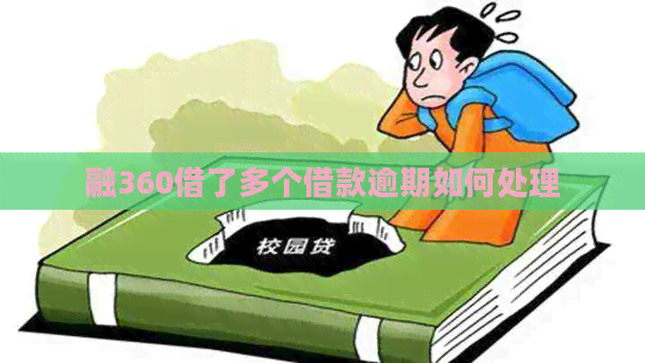融360借了多个借款逾期如何处理
