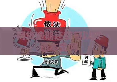 网贷逾期还款可以只还本金吗