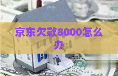 京东欠款8000怎么办