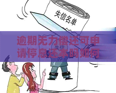 逾期无力偿还可申请停息还本吗如何操作