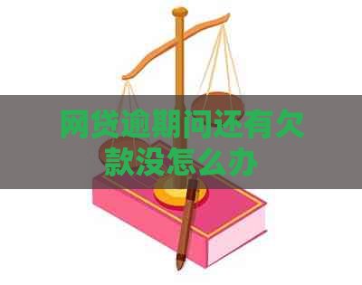 网贷逾期问还有欠款没怎么办