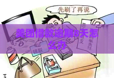 美团借款逾期8天怎么办