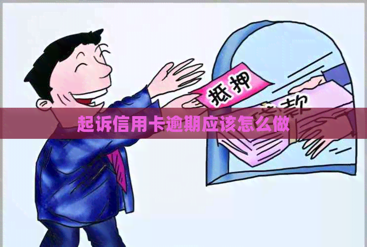 起诉信用卡逾期应该怎么做