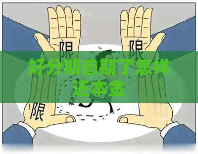 逾期了怎样还本金